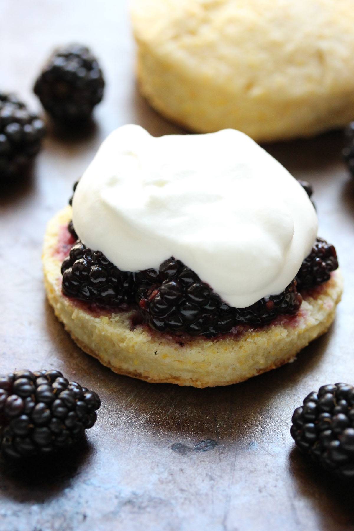 Blackberry Cornmeal Shortcakes